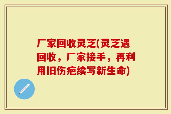 厂家回收灵芝(灵芝遇回收，厂家接手，再利用旧伤疤续写新生命)