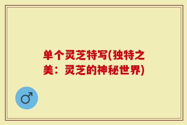 单个灵芝特写(独特之美：灵芝的神秘世界)