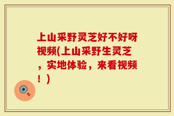 上山采野灵芝好不好呀视频(上山采野生灵芝，实地体验，来看视频！)