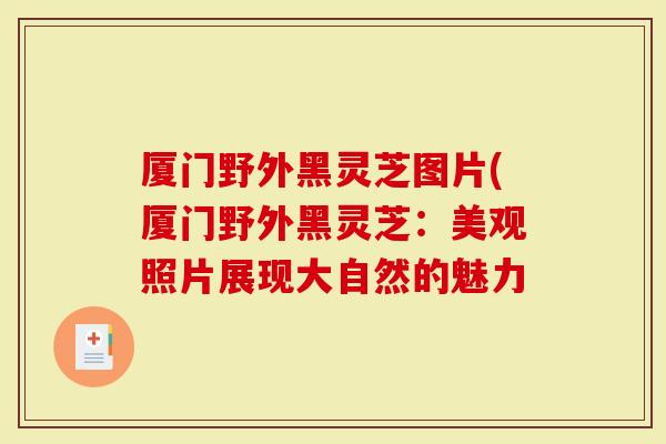 厦门野外黑灵芝图片(厦门野外黑灵芝：美观照片展现大自然的魅力