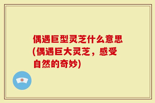 偶遇巨型灵芝什么意思(偶遇巨大灵芝，感受自然的奇妙)