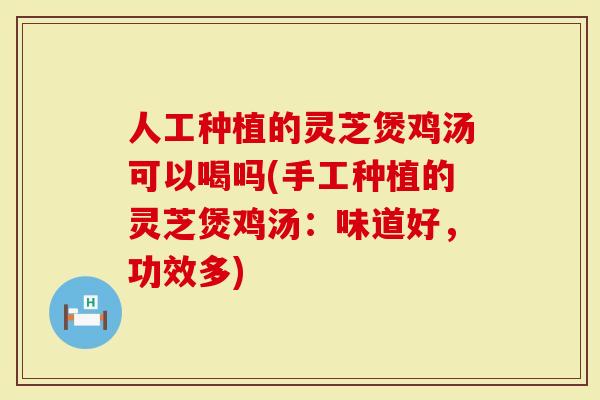 人工种植的灵芝煲鸡汤可以喝吗(手工种植的灵芝煲鸡汤:味道好,功效多)-第1张图片-灵芝大师 人工种植的灵芝煲鸡汤可以喝吗(手工种植的灵芝煲鸡汤:味道好,功效多)-第1张图片-灵芝大师