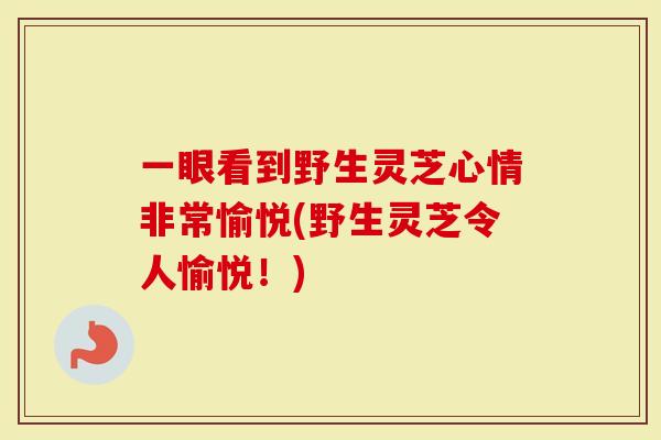 一眼看到野生灵芝心情非常愉悦(野生灵芝令人愉悦！)