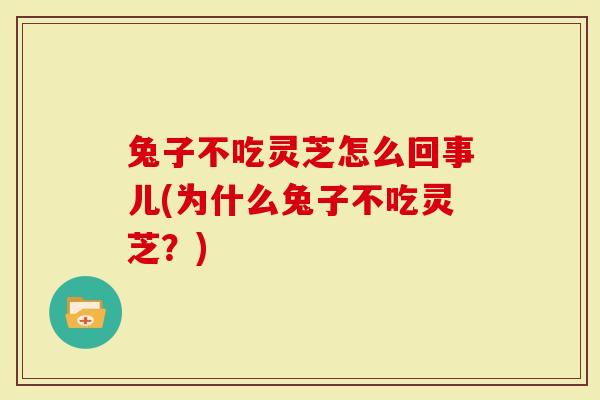 兔子不吃灵芝怎么回事儿(为什么兔子不吃灵芝?)-第1张图片-灵芝大师 兔子不吃灵芝怎么回事儿(为什么兔子不吃灵芝?)-第1张图片-灵芝大师