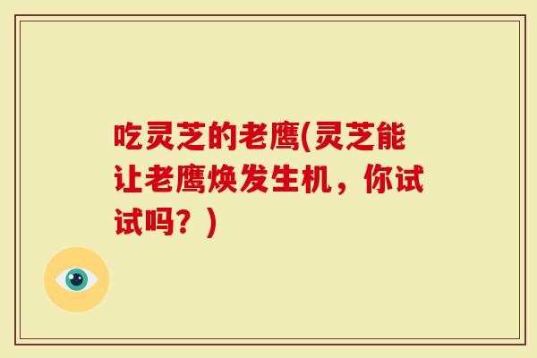 吃灵芝的老鹰(灵芝能让老鹰焕发生机，你试试吗？)