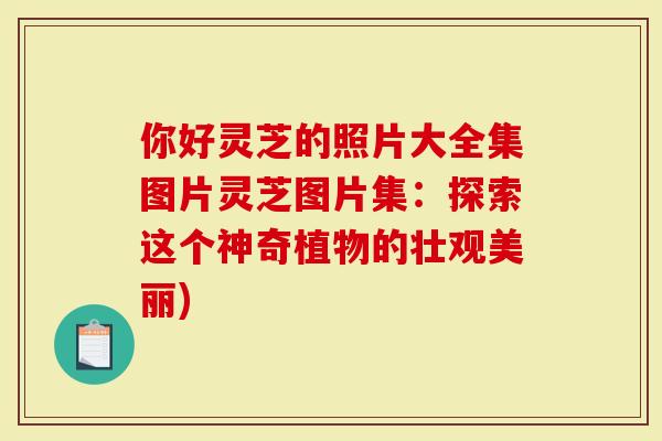 你好灵芝的照片大全集图片灵芝图片集：探索这个神奇植物的壮观美丽)