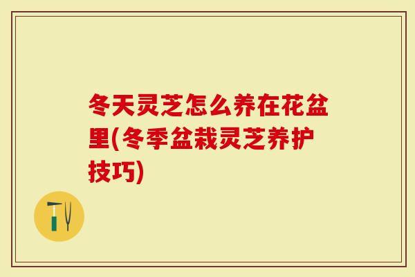 冬天灵芝怎么养在花盆里(冬季盆栽灵芝养护技巧)