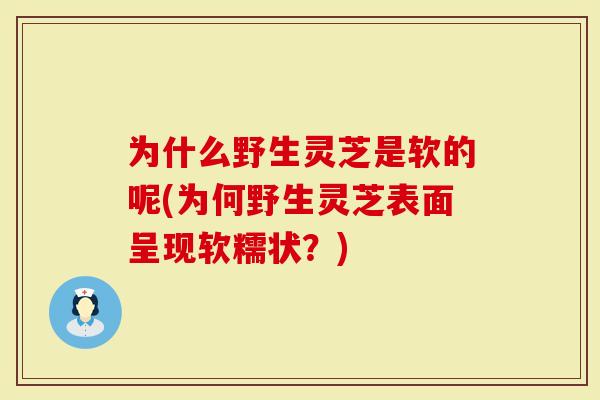 为什么野生灵芝是软的呢(为何野生灵芝表面呈现软糯状？)
