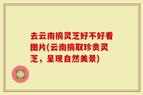 去云南摘灵芝好不好看图片(云南摘取珍贵灵芝，呈现自然美景)