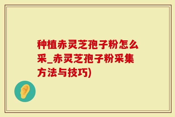 种植赤灵芝孢子粉怎么采_赤灵芝孢子粉采集方法与技巧)
