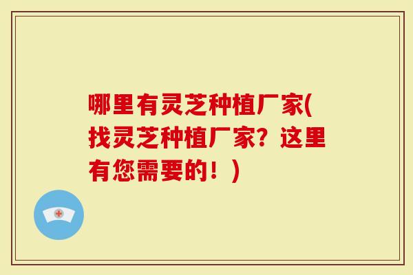 哪里有灵芝种植厂家(找灵芝种植厂家？这里有您需要的！)-第1张图片-灵芝大师