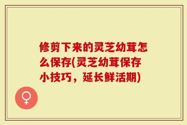 修剪下来的灵芝幼茸怎么保存(灵芝幼茸保存小技巧，延长鲜活期)