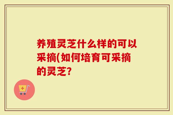 养殖灵芝什么样的可以采摘(如何培育可采摘的灵芝？