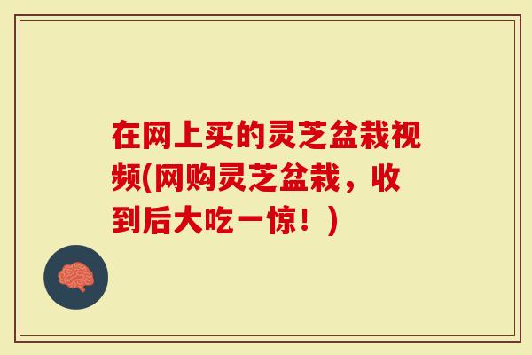 在网上买的灵芝盆栽视频(网购灵芝盆栽，收到后大吃一惊！)