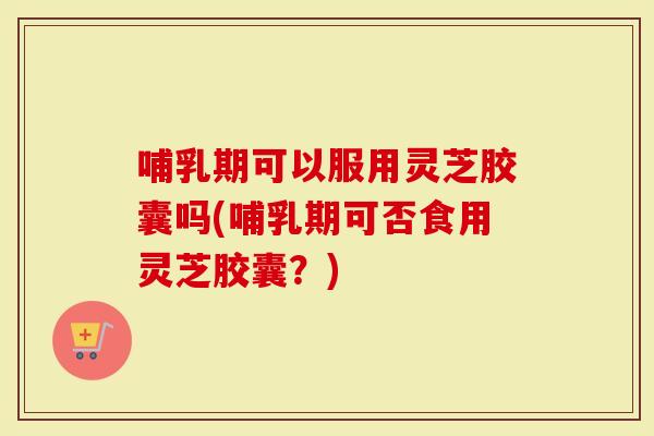 哺乳期可以服用灵芝胶囊吗(哺乳期可否食用灵芝胶囊？)