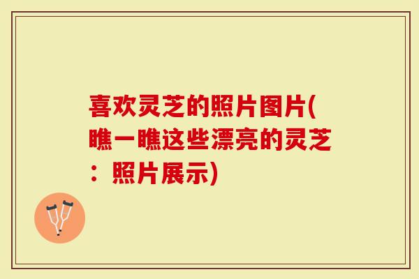 喜欢灵芝的照片图片(瞧一瞧这些漂亮的灵芝：照片展示)