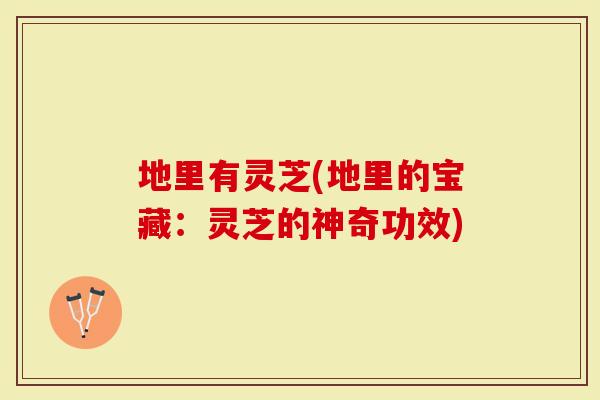 地里有灵芝(地里的宝藏：灵芝的神奇功效)