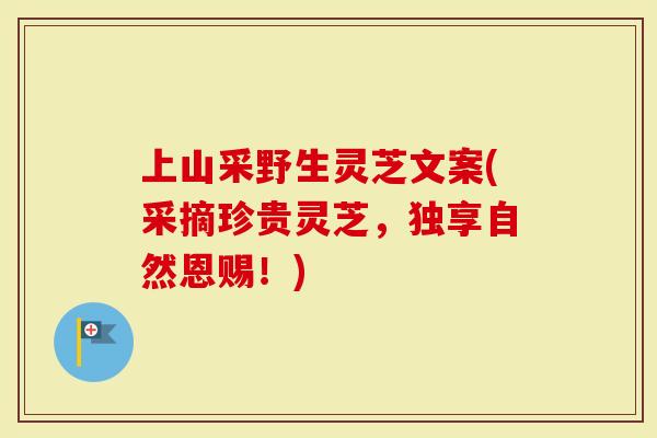 上山采野生灵芝文案(采摘珍贵灵芝，独享自然恩赐！)