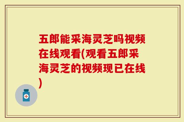五郎能采海灵芝吗视频在线观看(观看五郎采海灵芝的视频现已在线)