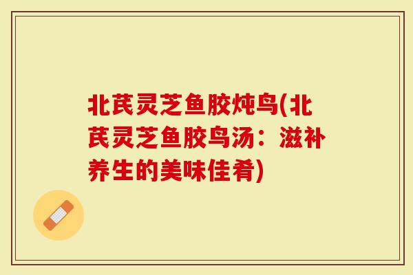 北芪灵芝鱼胶炖鸟(北芪灵芝鱼胶鸟汤：滋补养生的美味佳肴)