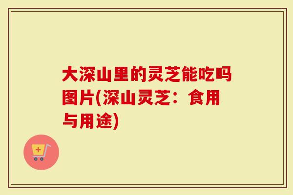 大深山里的灵芝能吃吗图片(深山灵芝:食用与用途)-第1张图片-灵芝大师 大深山里的灵芝能吃吗图片(深山灵芝:食用与用途)-第1张图片-灵芝大师