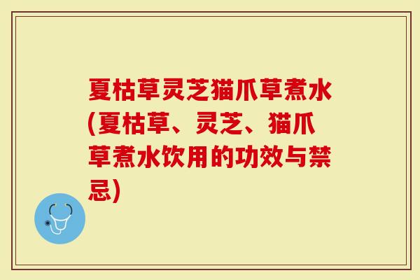 夏枯草灵芝猫爪草煮水(夏枯草、灵芝、猫爪草煮水饮用的功效与禁忌)