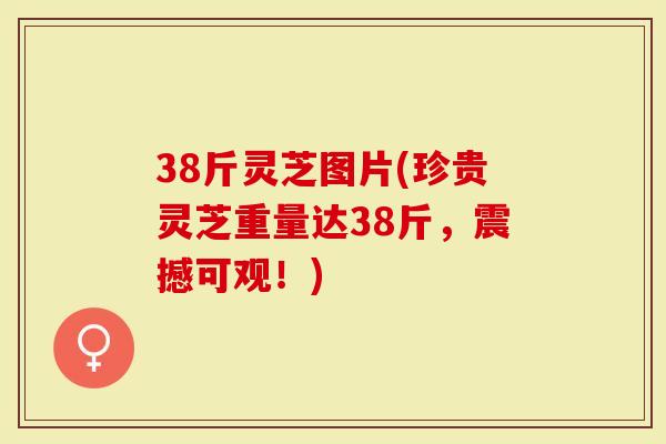 38斤灵芝图片(珍贵灵芝重量达38斤，震撼可观！)
