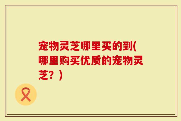 宠物灵芝哪里买的到(哪里购买优质的宠物灵芝？)
