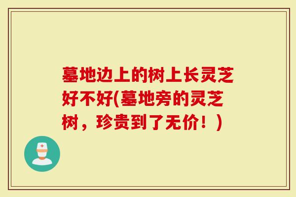 墓地边上的树上长灵芝好不好(墓地旁的灵芝树，珍贵到了无价！)