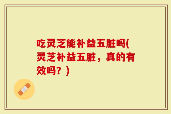 吃灵芝能补益五脏吗(灵芝补益五脏，真的有效吗？)