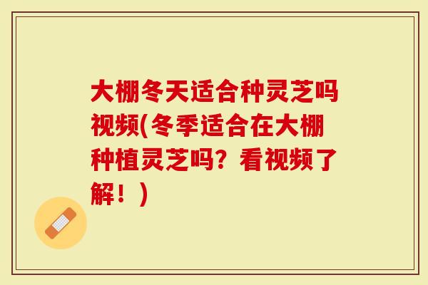 大棚冬天适合种灵芝吗视频(冬季适合在大棚种植灵芝吗？看视频了解！)