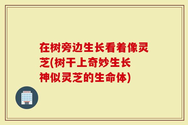 在树旁边生长看着像灵芝(树干上奇妙生长 神似灵芝的生命体)