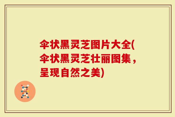 伞状黑灵芝图片大全(伞状黑灵芝壮丽图集，呈现自然之美)