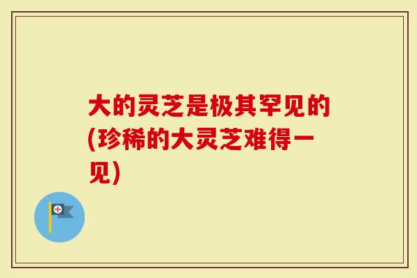 大的灵芝是极其罕见的(珍稀的大灵芝难得一见)