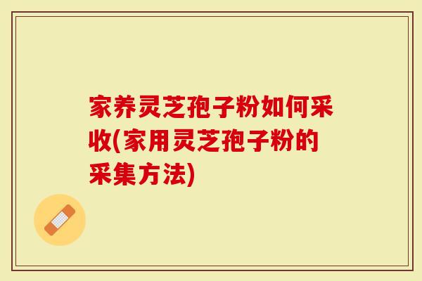 家养灵芝孢子粉如何采收(家用灵芝孢子粉的采集方法)