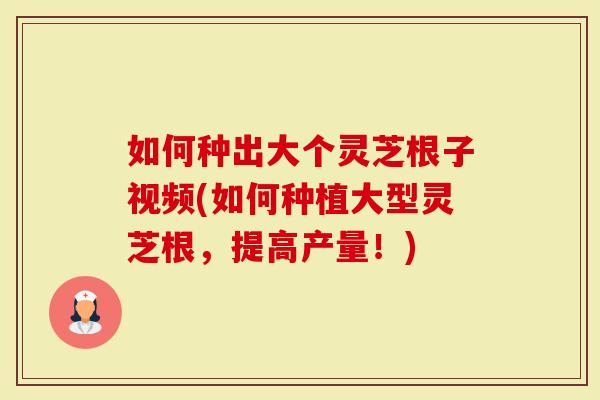 如何种出大个灵芝根子视频(如何种植大型灵芝根，提高产量！)