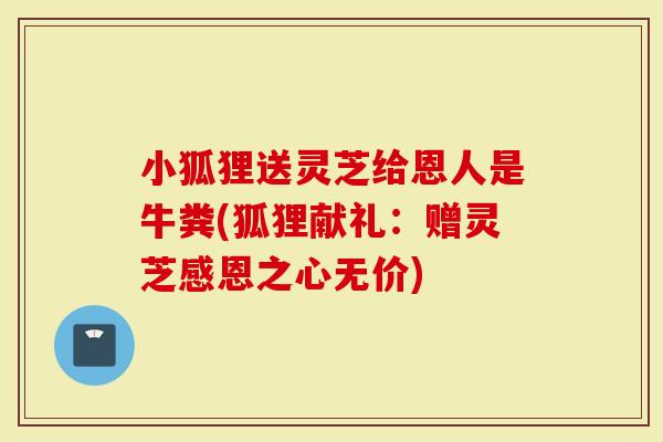 小狐狸送灵芝给恩人是牛粪(狐狸献礼：赠灵芝感恩之心无价)