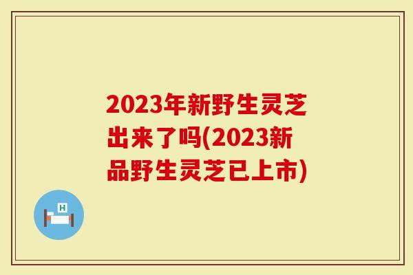 2023年新野生灵芝出来了吗(2023新品野生灵芝已上市)