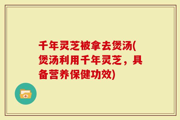 千年灵芝被拿去煲汤(煲汤利用千年灵芝，具备营养保健功效)