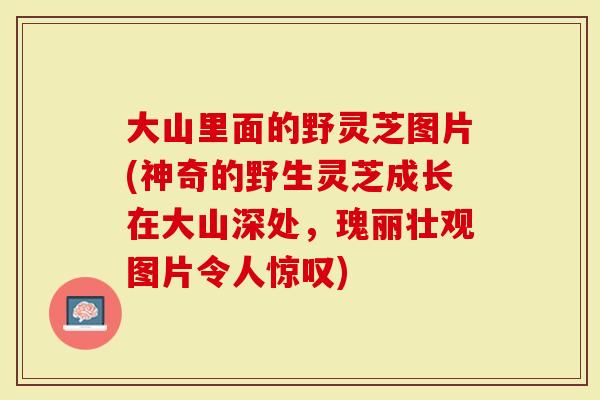 大山里面的野灵芝图片(神奇的野生灵芝成长在大山深处，瑰丽壮观图片令人惊叹)