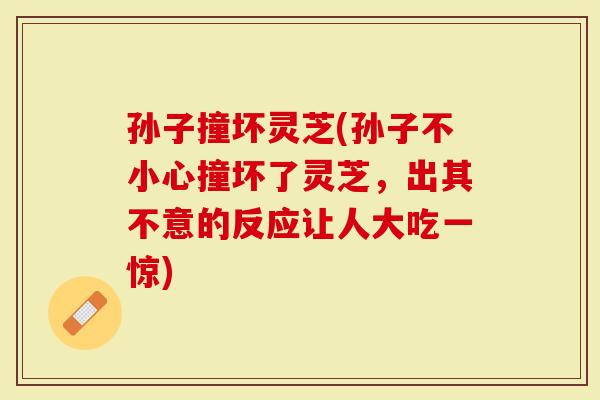 孙子撞坏灵芝(孙子不小心撞坏了灵芝，出其不意的反应让人大吃一惊)