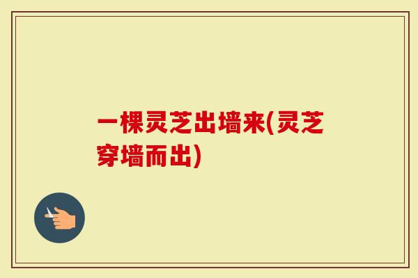 一棵灵芝出墙来(灵芝穿墙而出)