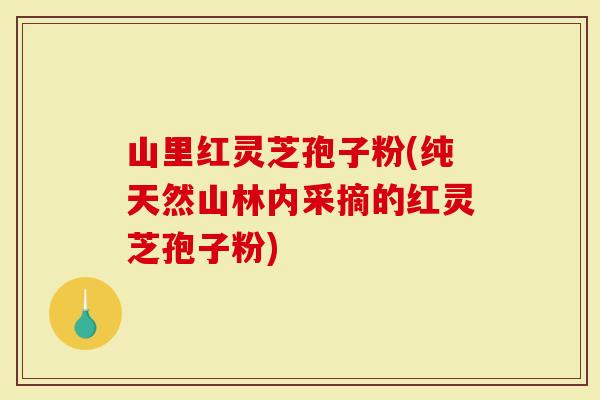 山里红灵芝孢子粉(纯天然山林内采摘的红灵芝孢子粉)