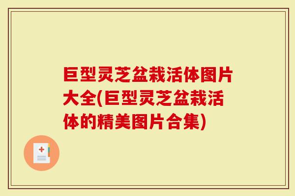 巨型灵芝盆栽活体图片大全(巨型灵芝盆栽活体的精美图片合集)