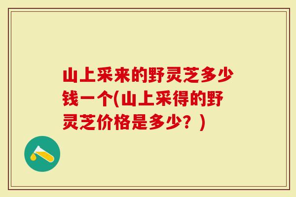 山上采来的野灵芝多少钱一个(山上采得的野灵芝价格是多少？)