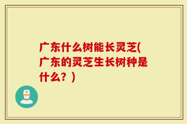 广东什么树能长灵芝(广东的灵芝生长树种是什么？)