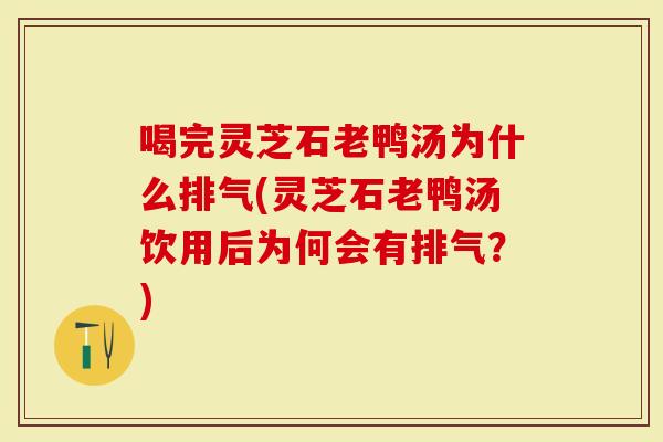 喝完灵芝石老鸭汤为什么排气(灵芝石老鸭汤饮用后为何会有排气？)