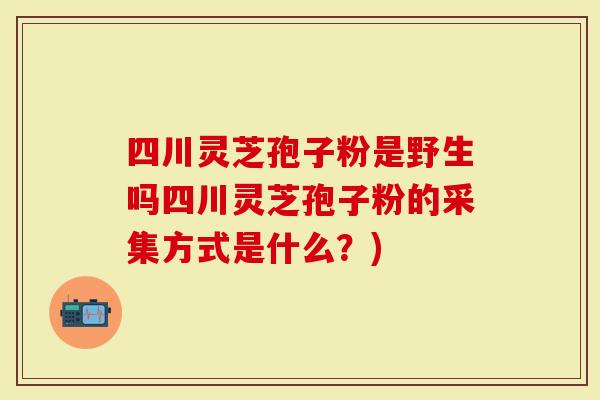 四川灵芝孢子粉是野生吗四川灵芝孢子粉的采集方式是什么？)