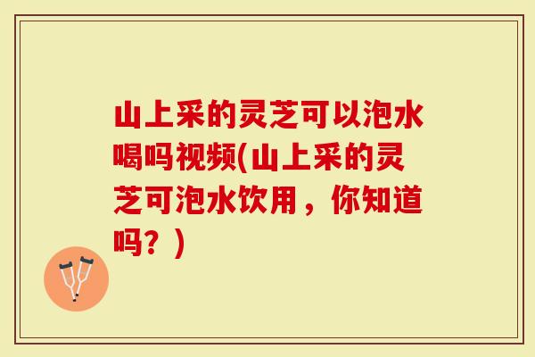 山上采的灵芝可以泡水喝吗视频(山上采的灵芝可泡水饮用，你知道吗？)