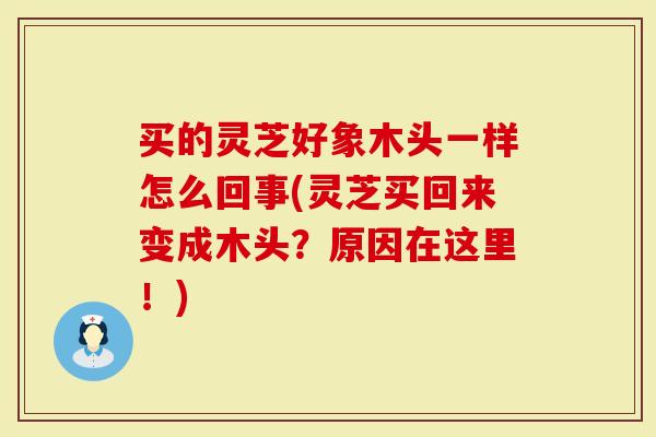 买的灵芝好象木头一样怎么回事(灵芝买回来变成木头?原因在这里!)-第1张图片-灵芝大师 买的灵芝好象木头一样怎么回事(灵芝买回来变成木头?原因在这里!)-第1张图片-灵芝大师